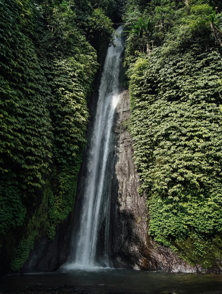 Red Coral Waterfall en Munduk, norte de Bali, una alta cascada rodeada de selva densa y vegetación que cae sobre una roca vertical.