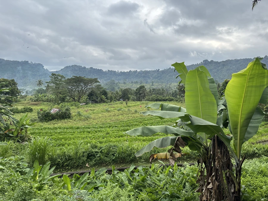 paisaje del valle de Sidemen en Bali