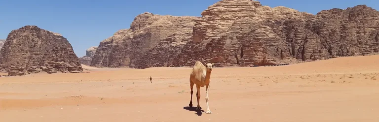 Ruta por Jordania, qué ver en Jordania