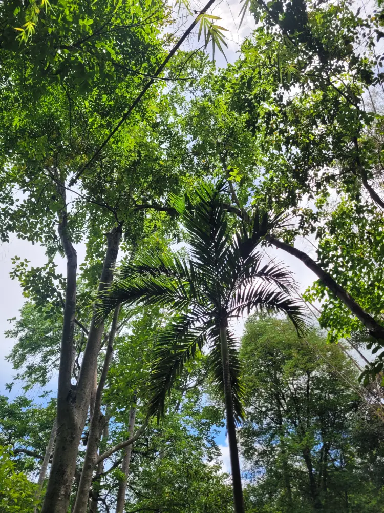 Qué ver en Kanchanaburi, Sai Yok Noi Waterfall