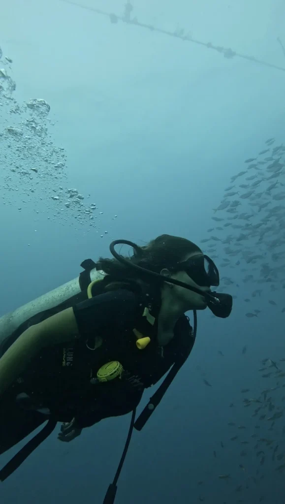 Buceo en Koh Tao