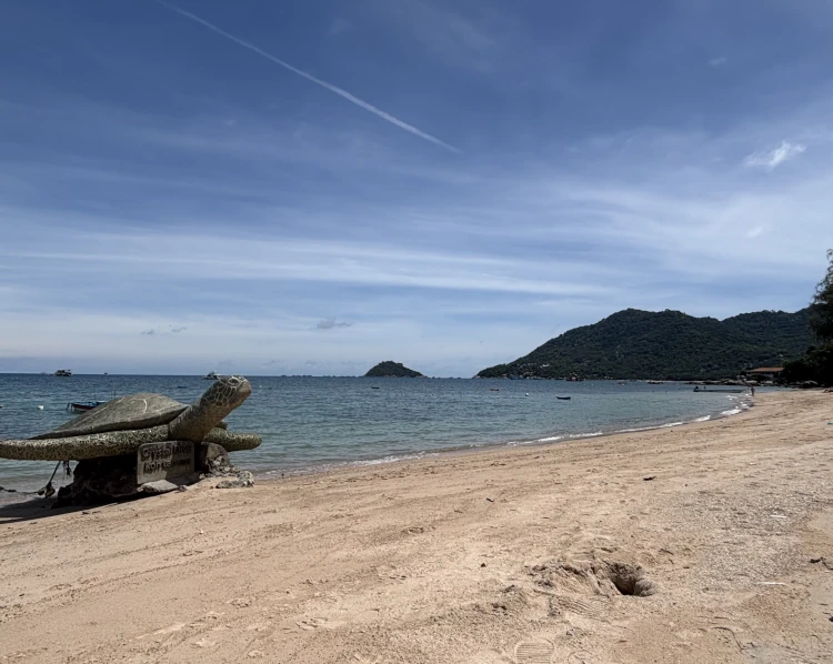Mae Haad Beach