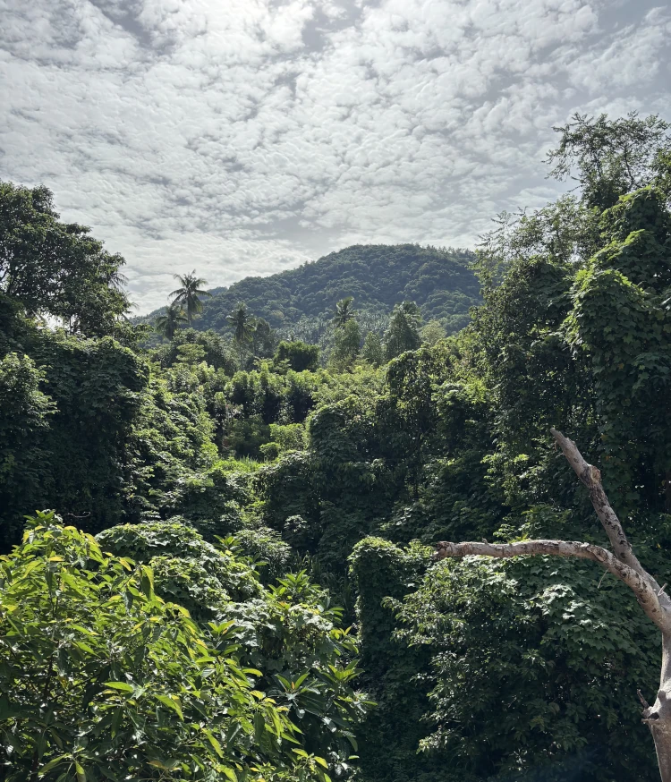 Paisajes de Koh Tao, viajar a Tailandia, vacaciones en Tailandia