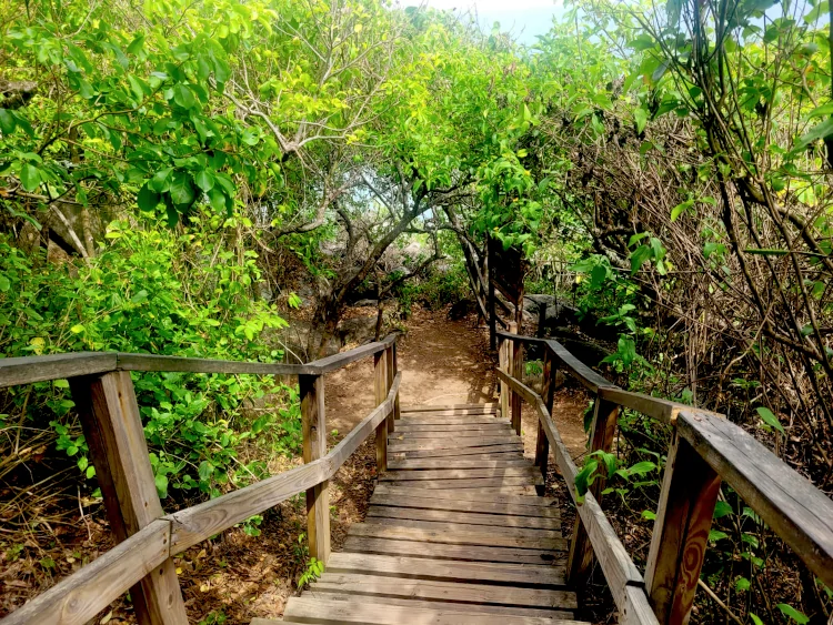 Visitar el Parque Tayrona, qué hacer en Santa Marta, vacaciones en Colombia, viajar a Colombia