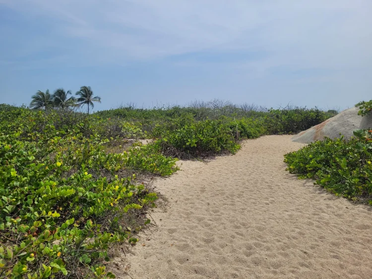 Sendero del Parque Tayrona, Playa Cañaveral, Playa Arrecife, Playas Tayrona