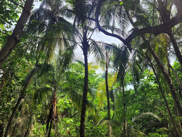 Camino a Playa Arenilla, viajar a Colombia, qué ver en Santa Marta