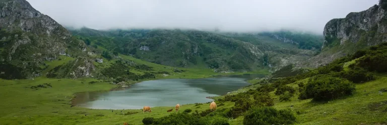 Visitar los Lagos de Covadonga
