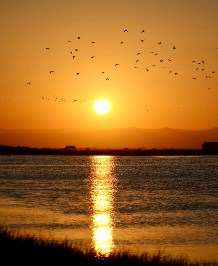Atardecer en la Albufera de Valencia
