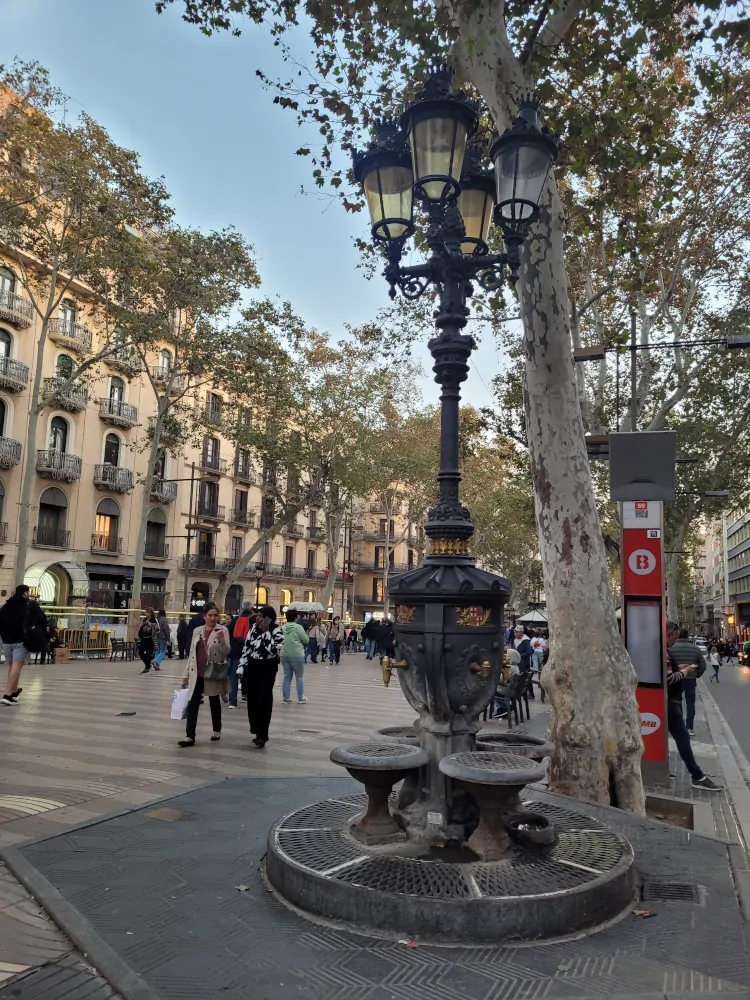 Qué ver en Barcelona, Font de Canaletes