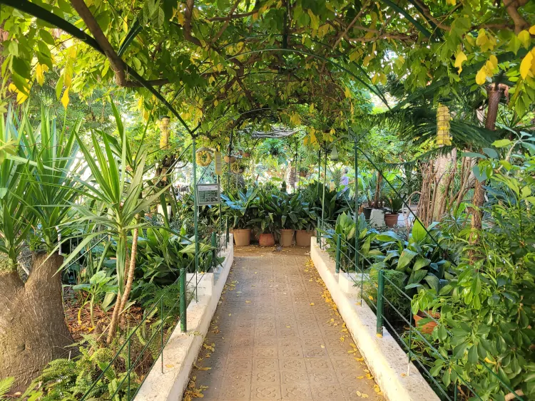 Qué ver en Gracia, qué hacer en Barcelona, Jardí del Silenci