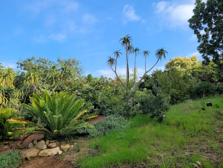 qué hacer en Barcelona, guía de Barcelona, Jardín Botánico de Barcelona