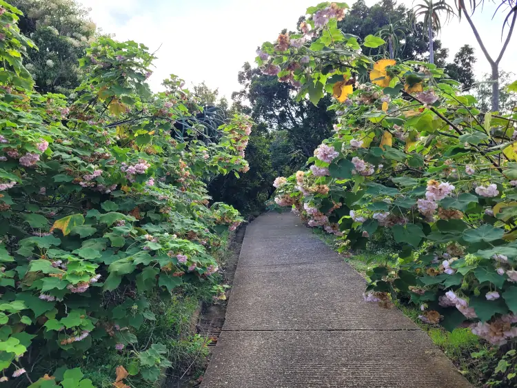 qué hacer en Barcelona, guía de Barcelona, Jardín Botánico de Barcelona