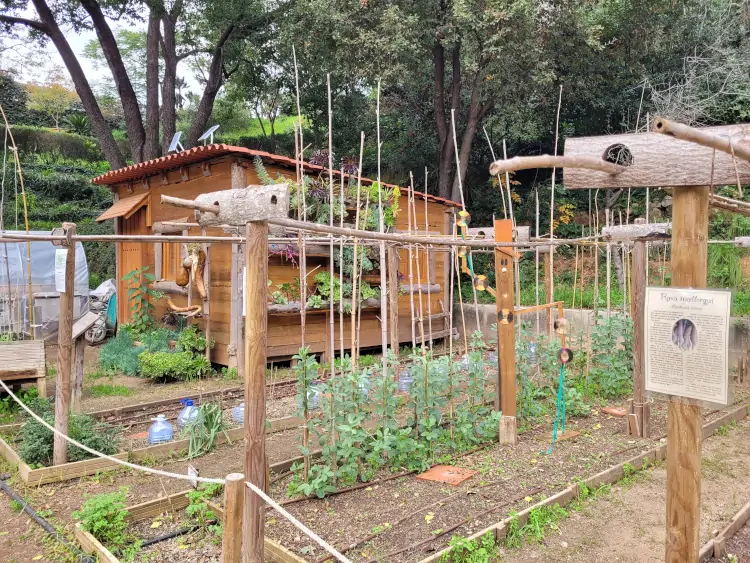 qué ver en Montjuïc, qué hacer en Barcelona, Jardín Botánico Histórico