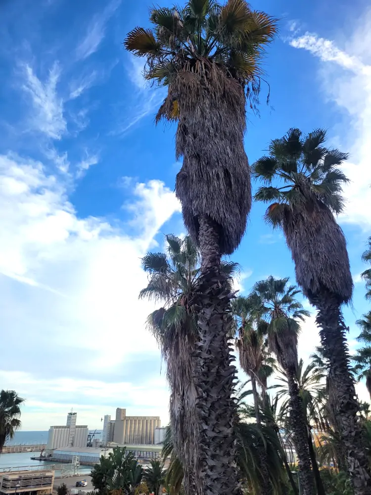qué ver en Montjuïc, qué hacer en Barcelona, Jardines Mossèn Costa i Llobera