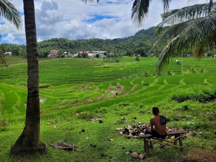 Qué hacer en Anda, qué ver en Bohol, Cadapdapan Rice Terrace