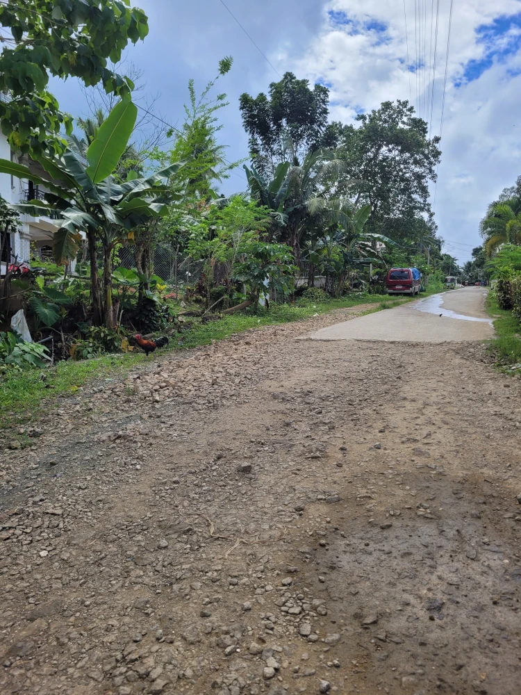 Qué ver en Bohol, Cadapdapan Rice Terrace