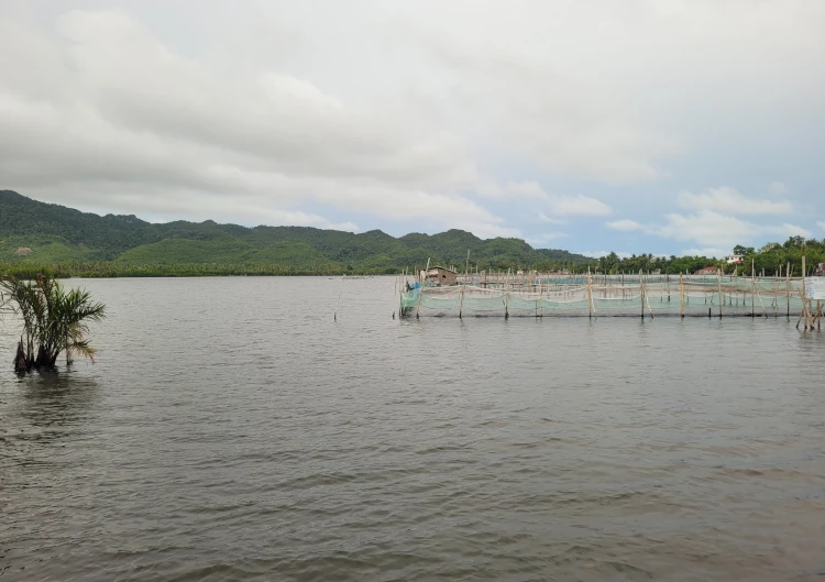 que hacer en Bohol, qué ver en Anda, viajar a Filipinas