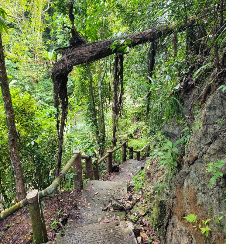 Qué ver en Bohol, Mag Aso Falls