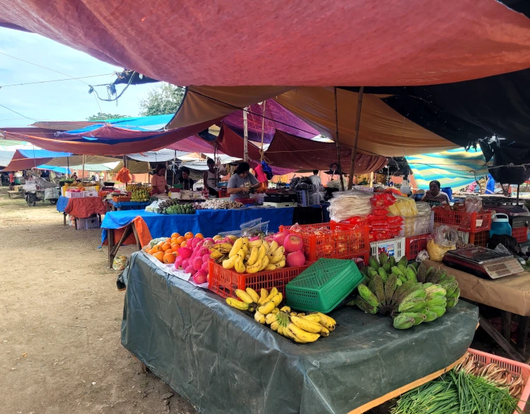 Qué hacer en Anda, qué ver en Bohol, Mercado de Anda