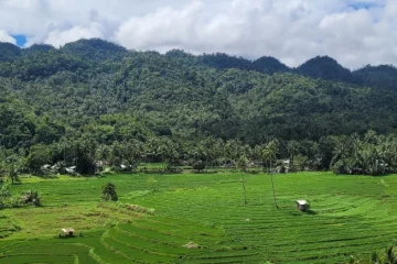 Qué hacer en Anda, qué ver en Bohol, viajar a Filipinas