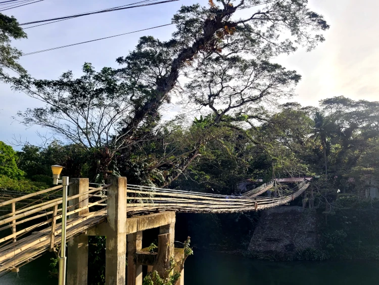Sipatan Twin Hanging Bridge, qué ver en Loboc