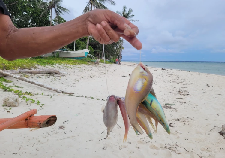 Qué hacer en Anda, qué ver en Bohol, Talisay Beach