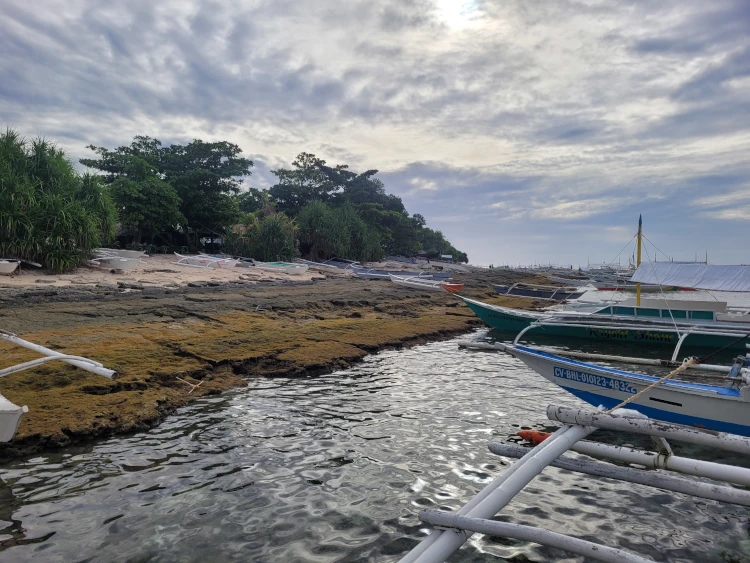 que hacer en Bohol, qué ver en Panglao, viajar a Filipinas, visitar Balicasag.