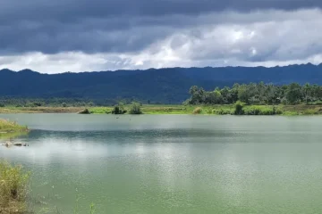 Qué hacer en Bohol