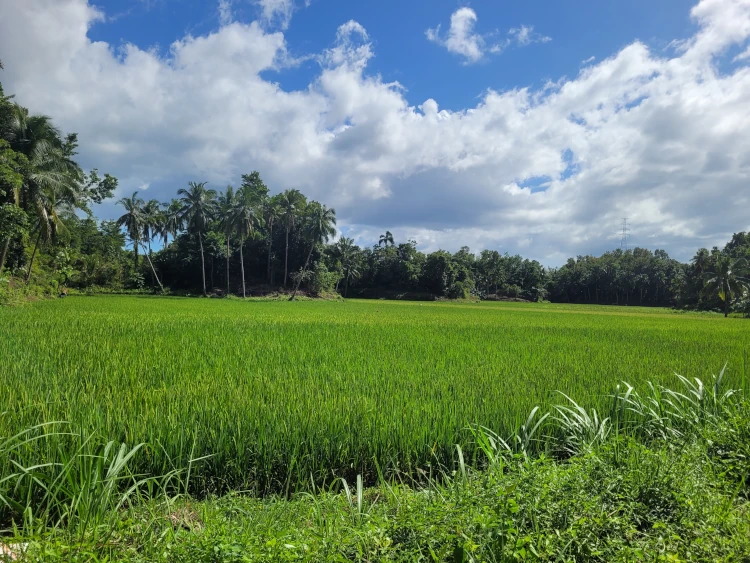 qué ver en Loboc, viajar a Filipinas, Cascadas de Mag Aso