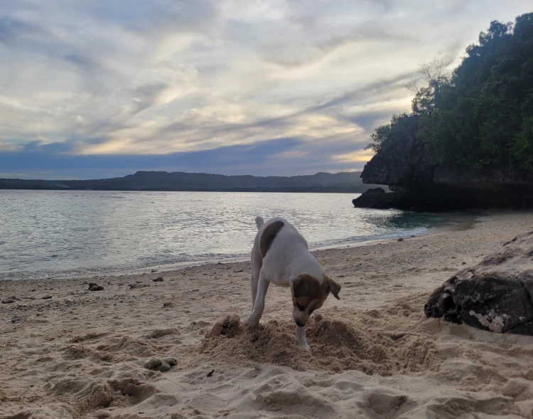 Playas de Siquijor, Viajar a Filipinas, qué ver en Siquijor, Salagdoong  Beach