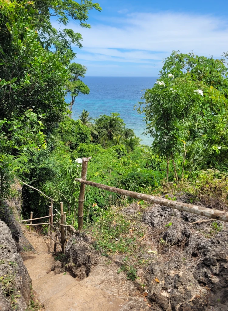 Monkey Beach