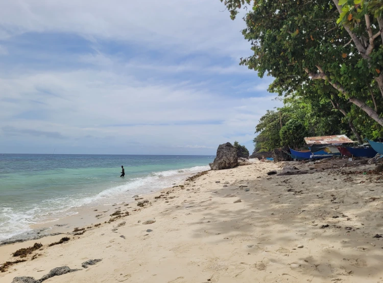 Monkey Beach
