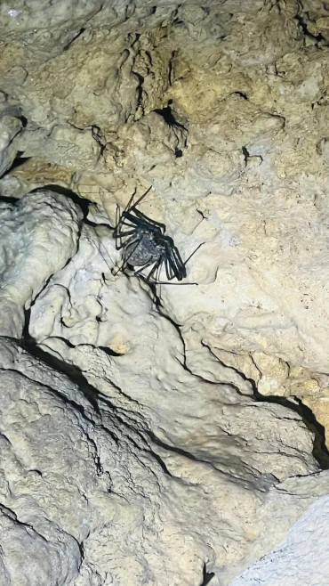 Viajar a Filipinas, vacaciones en Filipinas, Qué hacer en Siquijor, Sambulawan Underground River