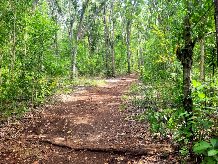 Viajar a Filipinas, vacaciones en Filipinas, Qué hacer en Siquijor, Bacong Beach