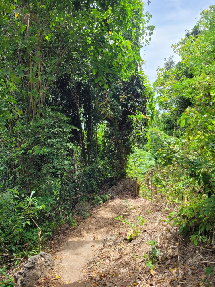 Viajar a Filipinas, vacaciones en Filipinas, Qué hacer en Siquijor, Monkey Beach