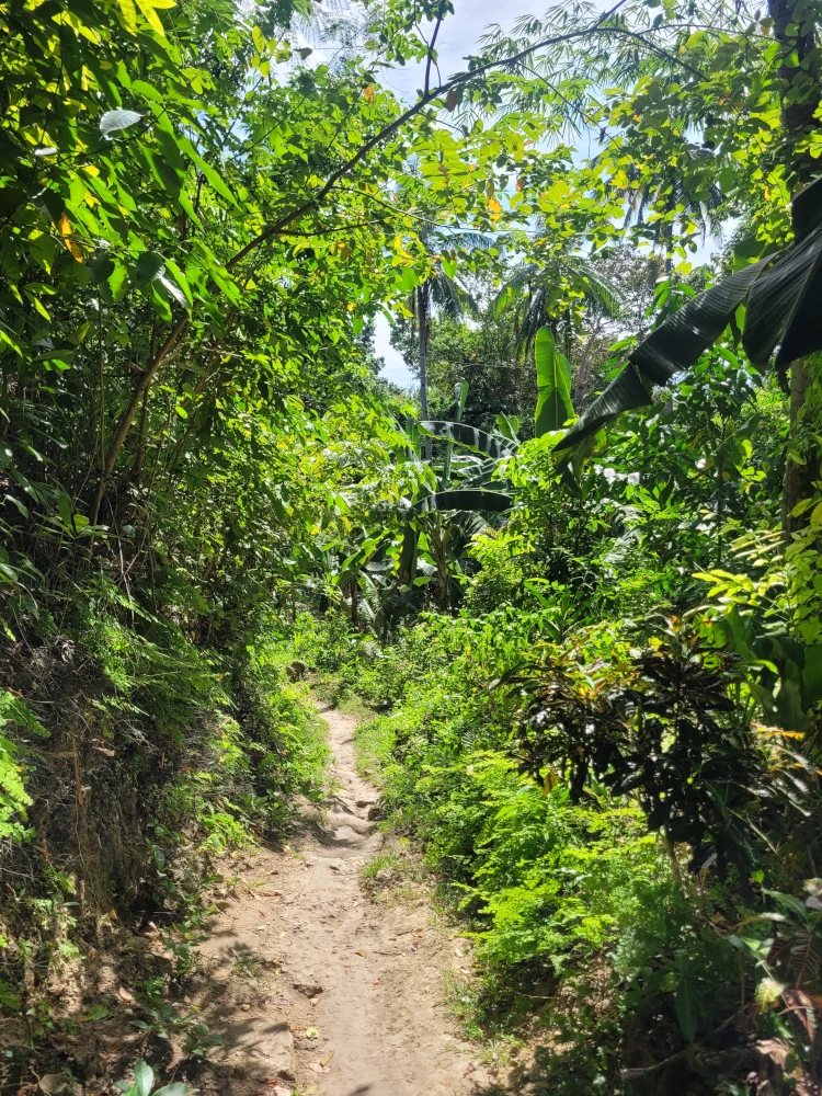 Locong Falls, Viajar a Filipinas, vacaciones en Filipinas