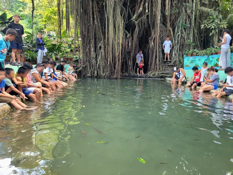 Old Enchanted Balete Tree, Viajar a Filipinas, vacaciones en Filipinas
