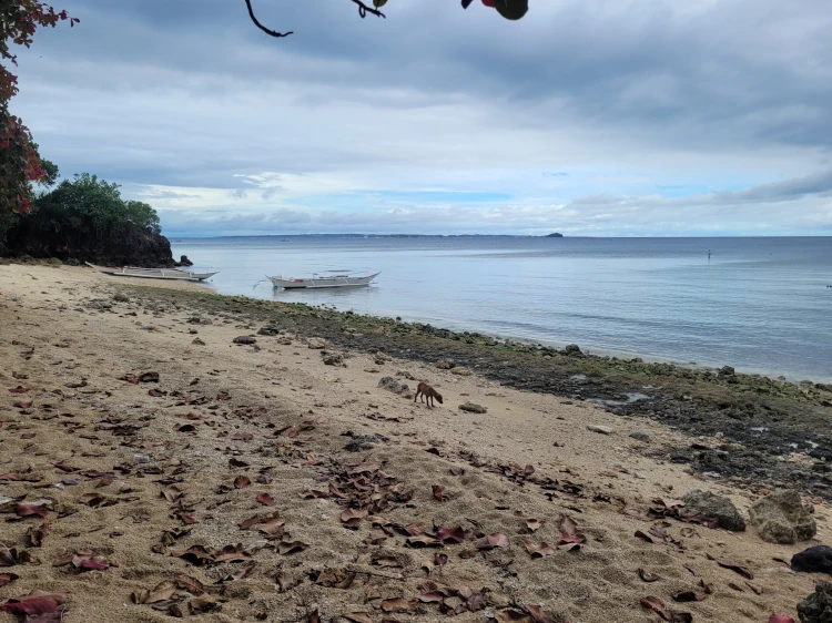 Pilar Pilapil Resort, qué hacer en Malapascua, viajar a Filipinas