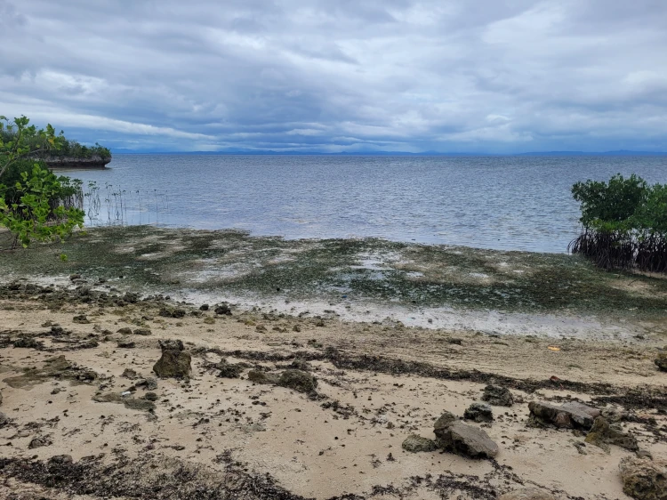 Kabatangan Beach, qué hacer en Malapascua, viajar a Filipinas