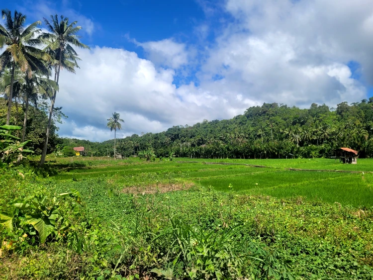 Viajar a Filipinas, vacaciones en Filipinas, Qué hacer en Siquijor, Secret Lagoon
