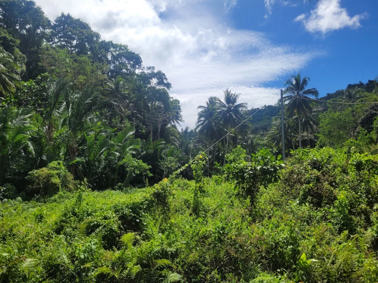 Viajar a Filipinas, vacaciones en Filipinas, Qué hacer en Siquijor, Secret Lagoon