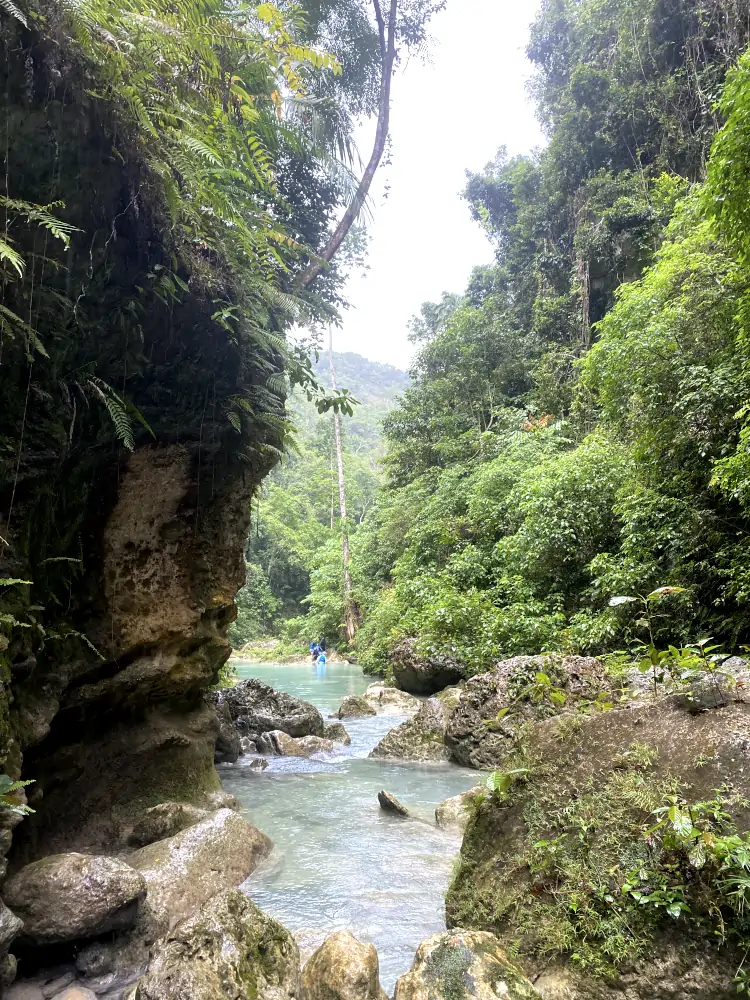 qué hacer en Moalboal, viajar a Filipinas, vacaciones en Filipinas, qué ver en Cebú, Kawasan Falls