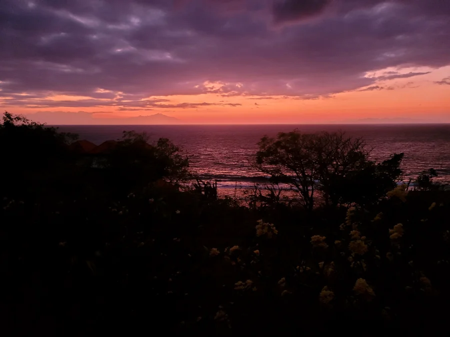 Amanecer en Nusa Penida con vistas al mar desde un alojamiento, cielo rosado y siluetas de árboles