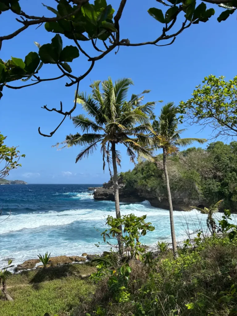 Secret Beach en Nusa Ceningan con palmeras, costa rocosa y mar azul.