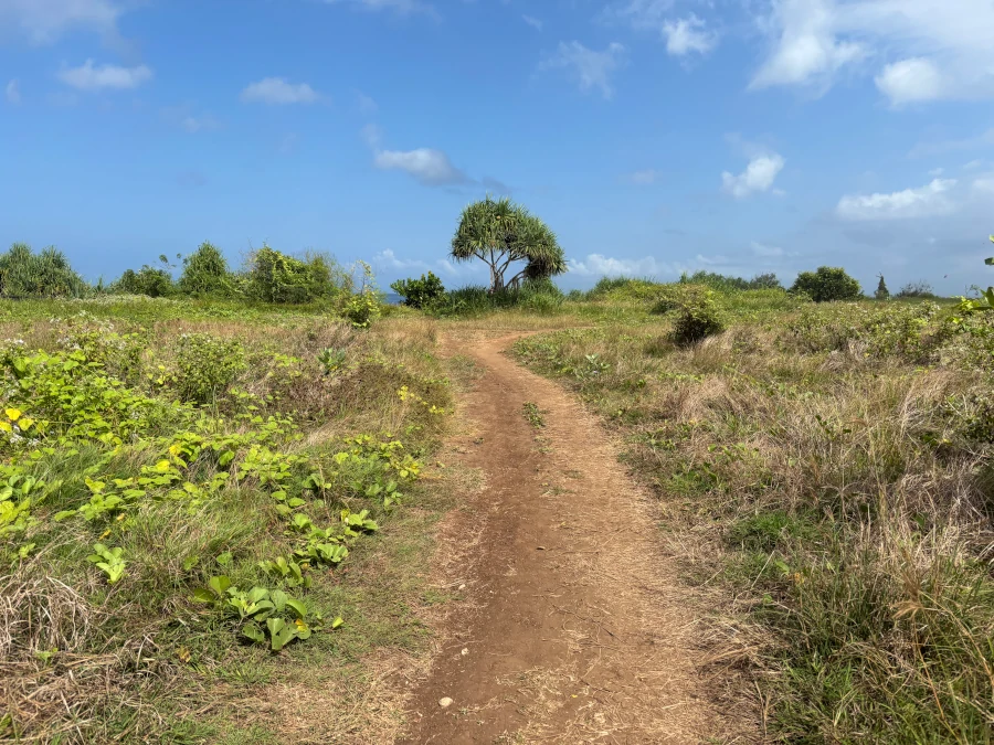 Camino de tierra para acceder a Dead Pool, Nusa Lembongan.