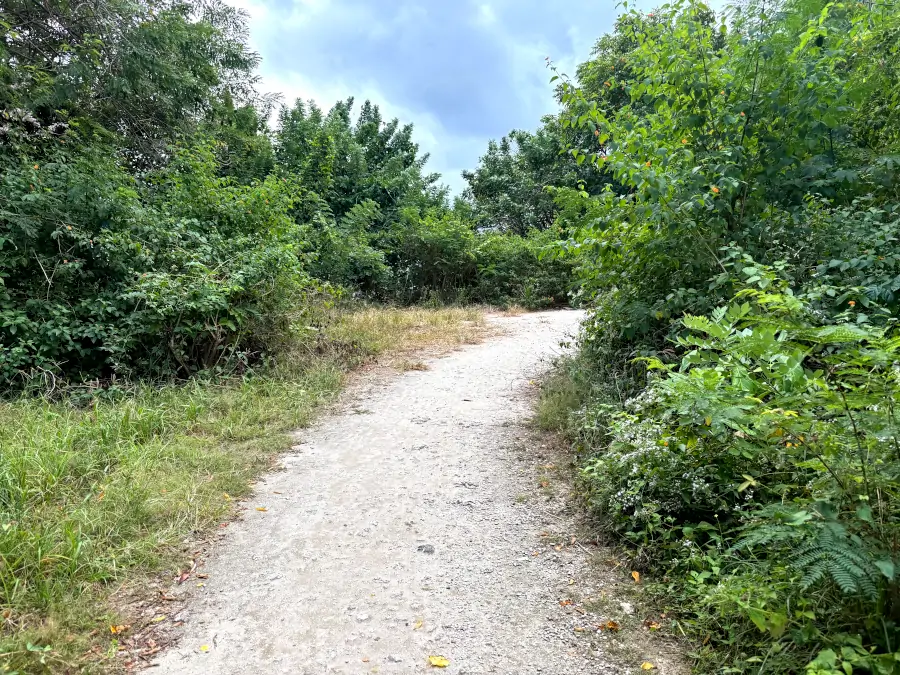 Camino de tierra rodeado de vegetación que conduce a Hidden Beach en Nusa Lembongan