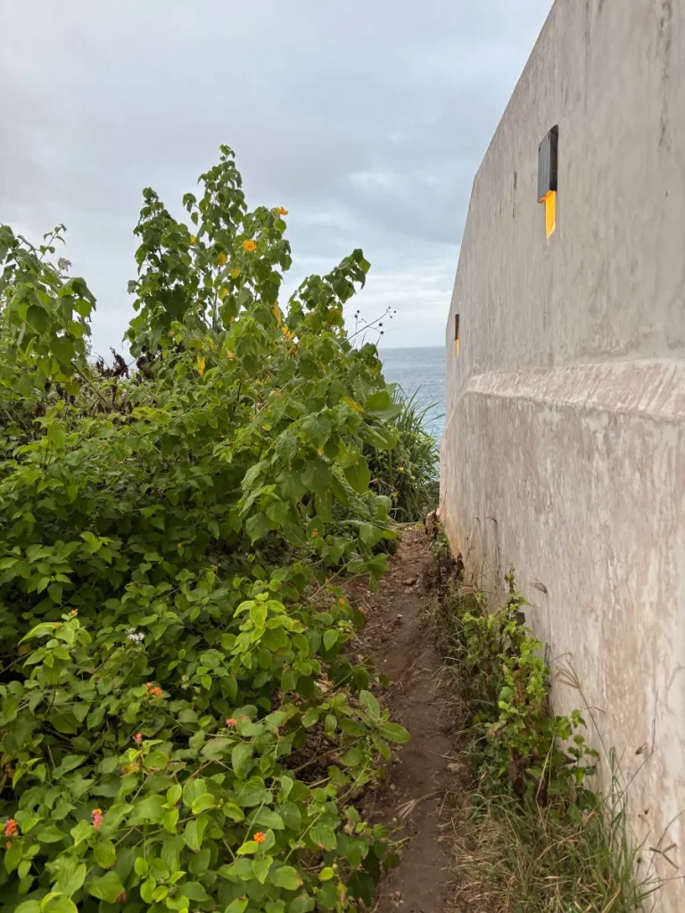 Sendero estrecho entre la vegetación para acceder al mirador de Sunset Point, Nusa Lembongan.
