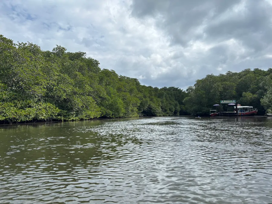 Canales de manglares en el Mangrove Forest de Nusa Lembongan.