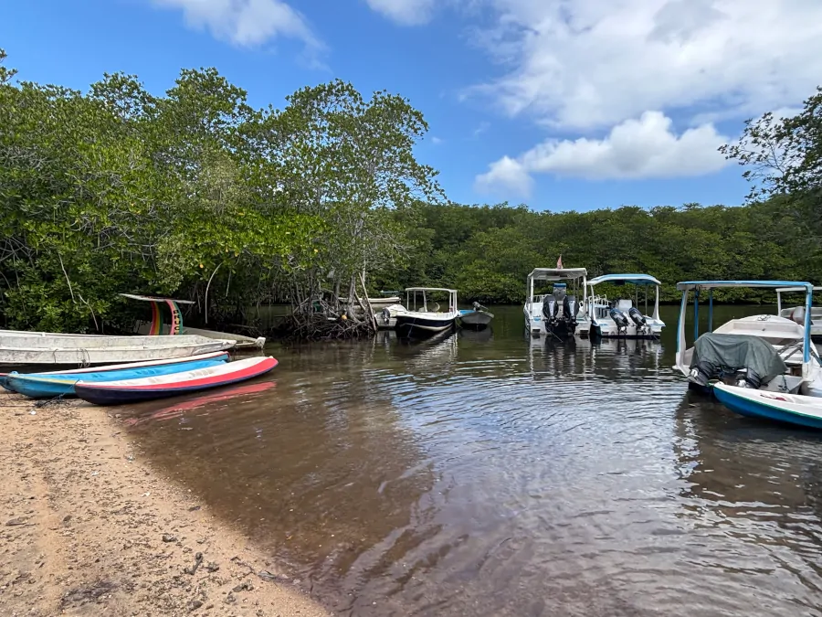 Kayaks y barcas atracadas en la entrada del Mangrove Forest de Nusa Lembongan, rodeadas de manglares.