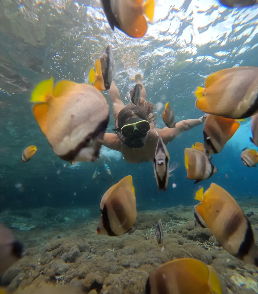 Snorkel entre peces tropicales en las Islas Nusa, al sureste de Bali